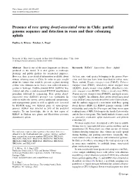 Presence of Rose Spring Dwarf-Associated Virus in Chile: Partial Genome Sequence and Detection in Roses and Their Colonizing Aphids