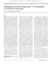 Slip-Sliding the Frame: Programmed −1 Frameshifting on Eukaryotic Transcripts
