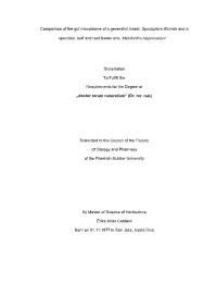 Table of Contents I