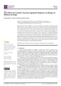 The Effect of Cranial Cruciate Ligament Rupture on Range of Motion in Dogs