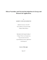 Silicon Nanotubes and Selected Investigations in Energy and Biomaterial Applications