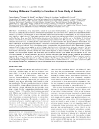 Relating Molecular Flexibility to Function: a Case Study of Tubulin