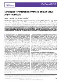 Strategies for Microbial Synthesis of High-Value Phytochemicals