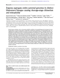 Zygotes Segregate Entire Parental Genomes in Distinct Blastomere Lineages Causing Cleavage-Stage Chimerism and Mixoploidy