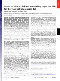 Access to DNA Establishes a Secondary Target Site Bias for The