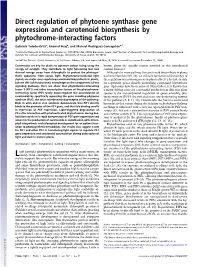 Direct Regulation of Phytoene Synthase Gene Expression and Carotenoid Biosynthesis by Phytochrome-Interacting Factors
