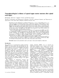 Neurophysiological Evidence of Spared Upper Motor Neurons After Spinal Cord Injury
