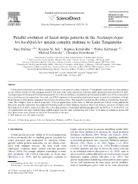 Parallel Evolution of Facial Stripe Patterns in the Neolamprologus Brichardi/Pulcher Species Complex Endemic to Lake Tanganyika