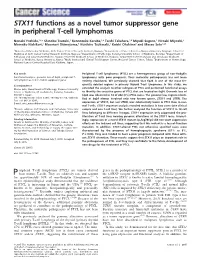 STX11 Functions As a Novel Tumor Suppressor Gene in Peripheral T&
