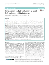 Conservation and Diversification of Small RNA Pathways Within Flatworms Santiago Fontenla1, Gabriel Rinaldi2, Pablo Smircich1,3 and Jose F