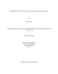 Heavy Metal(Loid) Transformations by Bacteria Isolated from Extreme Environments