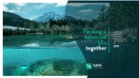 Audited-Annual-Report-2019.Pdf