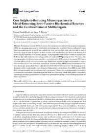 Core Sulphate-Reducing Microorganisms in Metal-Removing Semi-Passive Biochemical Reactors and the Co-Occurrence of Methanogens