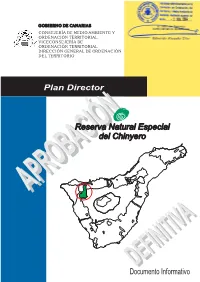 Documento Informativo