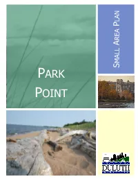 Park Point Small Area Plan Are Contained in Appendix a 2 Park Point Small Area Plan TABLE of CONTENTS