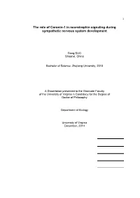 The Role of Coronin-1 in Neurotrophin Signaling During Sympathetic Nervous System Development