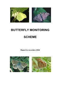 Butterfly Monitoring Scheme