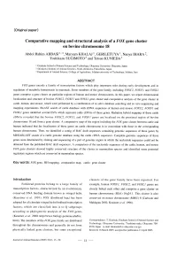 Comparative Mapping and Structural Analysis of a FOX Gene Cluster on Bovine Chromosome 18