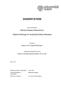 Dissertation
