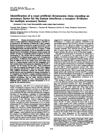 Identification of a Yeast Artificial Chromosome Clone Encoding an Accessory Factor for the Human Interferon Y Receptor