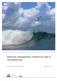 Fisheries Management Controls for Dab in the North Sea