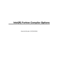 Intel(R) Fortran Compiler Options