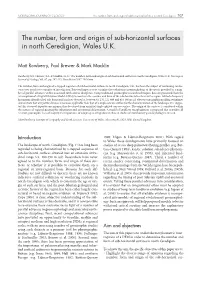 The Number, Form and Origin of Sub-Horizontal Surfaces in North Ceredigion 207