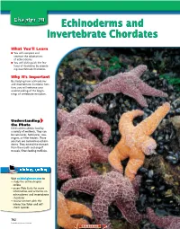 Chapter 29: Echinoderms and Invertebrate Chordates
