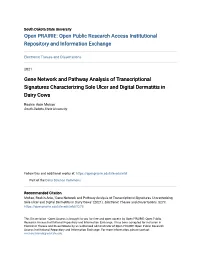 Gene Network and Pathway Analysis of Transcriptional Signatures Characterizing Sole Ulcer and Digital Dermatitis in Dairy Cows