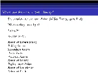 What Are Axioms of Set Theory?