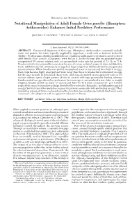 Nutritional Manipulation of Adult Female Orius Pumilio (Hemiptera: Anthocoridae) Enhances Initial Predatory Performance