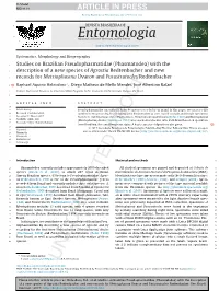 Studies on Brazilian Pseudophasmatidae (Phasmatodea) with The