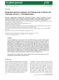 Integrated Genome Sequence and Linkage Map of Physic Nut (Jatropha Curcas L.), a Biodiesel Plant