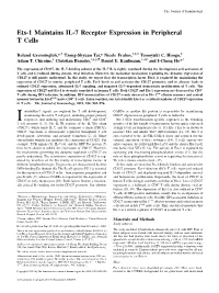 Peripheral T Cells Ets-1 Maintains IL-7 Receptor Expression In