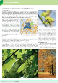 Acer Platanoides in Europe: Distribution, Habitat, Usage and Threats