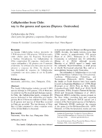 Calliphoridae from Chile: Key to the Genera and Species (Diptera: Oestroidea)