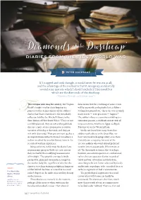 'Diamonds of the Dustheap'