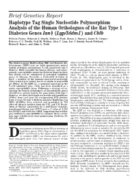 Brief Genetics Report