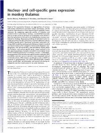 Nucleus- and Cell-Specific Gene Expression in Monkey Thalamus