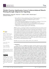 Aerobic Exercise Ameliorates Cancer Cachexia-Induced Muscle Wasting Through Adiponectin Signaling