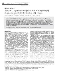 Ankyrin-G Regulates Neurogenesis and Wnt Signaling by Altering the Subcellular Localization of Β-Catenin