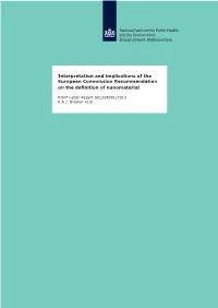 Interpretation and Implications of the European Commission Recommendation on the Definition of Nanomaterial