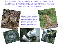 Nesting Birds and Two Fox Species