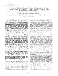 (Subunit C) of Pleurochrysis