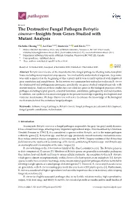 The Destructive Fungal Pathogen Botrytis Cinerea—Insights from Genes Studied with Mutant Analysis
