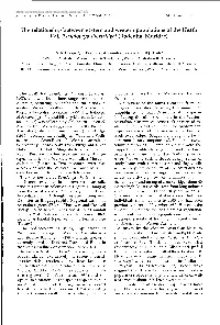 Adec Preview Generated PDF File