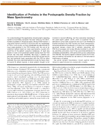 Identification of Proteins in the Postsynaptic Density Fraction By
