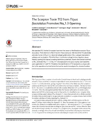 The Scorpion Toxin Tf2 from Tityus Fasciolatus Promotes Nav1.3 Opening