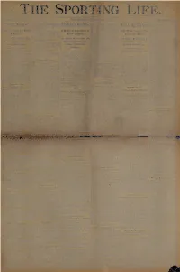 This Entire Document