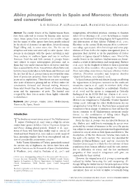Abies Pinsapo Forests in Spain and Morocco: Threats and Conservation